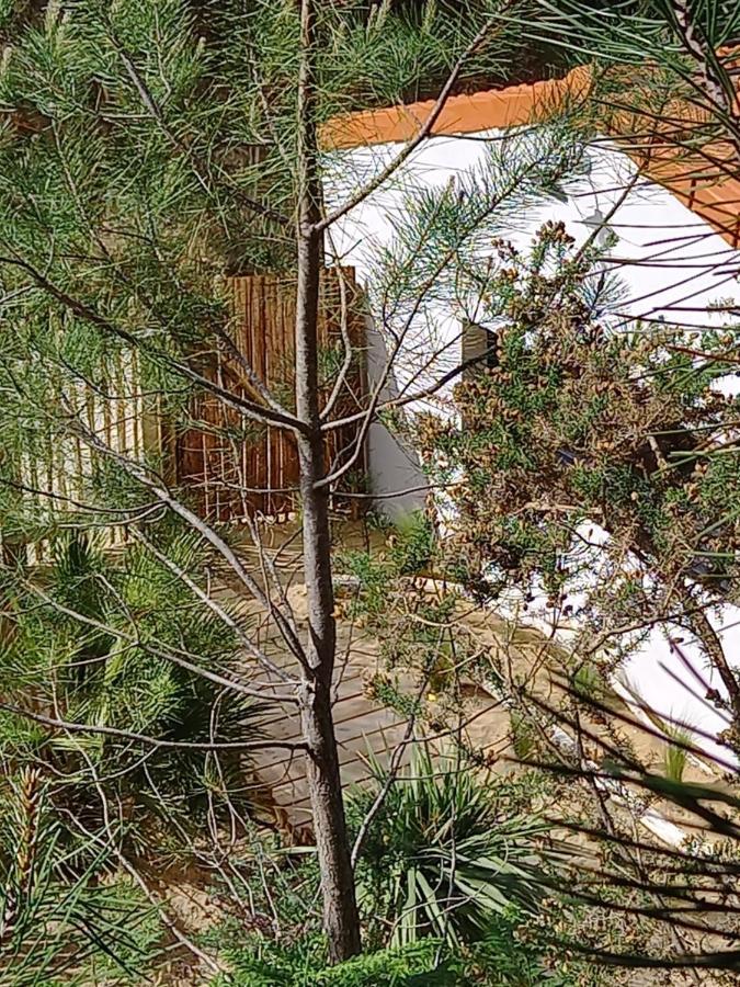 Cot'& Dune - Lodge D'Hote & Spa De Nage Saint-Augustin  Luaran gambar