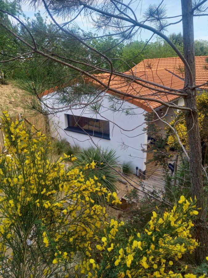 Cot'& Dune - Lodge D'Hote & Spa De Nage Saint-Augustin  Luaran gambar